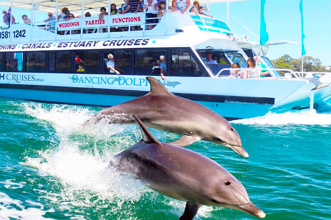 6D3N Perth + 1 Day Free & Easy (Swan Valley / Fremantle / Pinnacles)