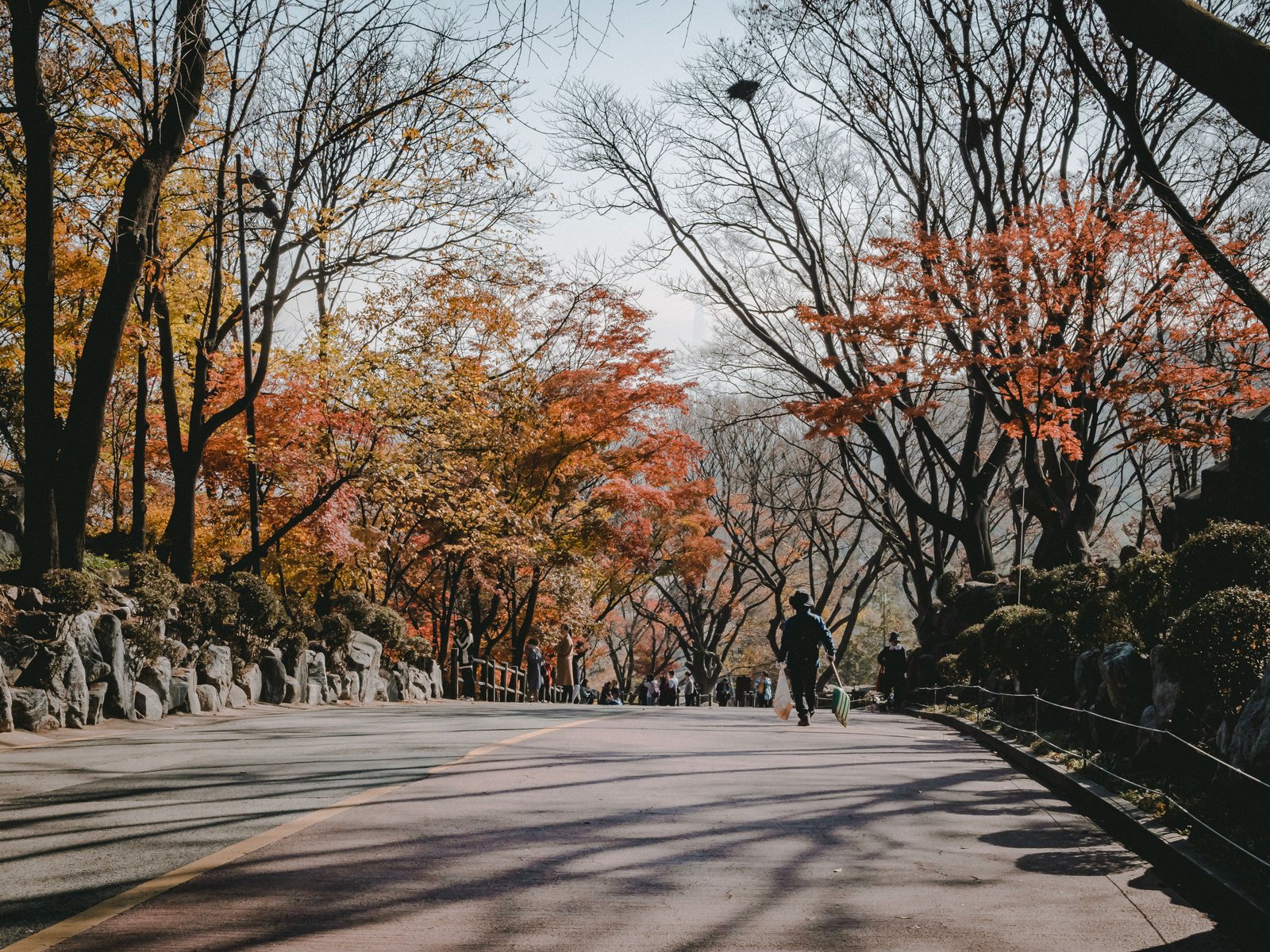 8D6N SEOUL/ NAMI ISLAND/ MOUNT SORAK + 01 DAY FREE & EASY
