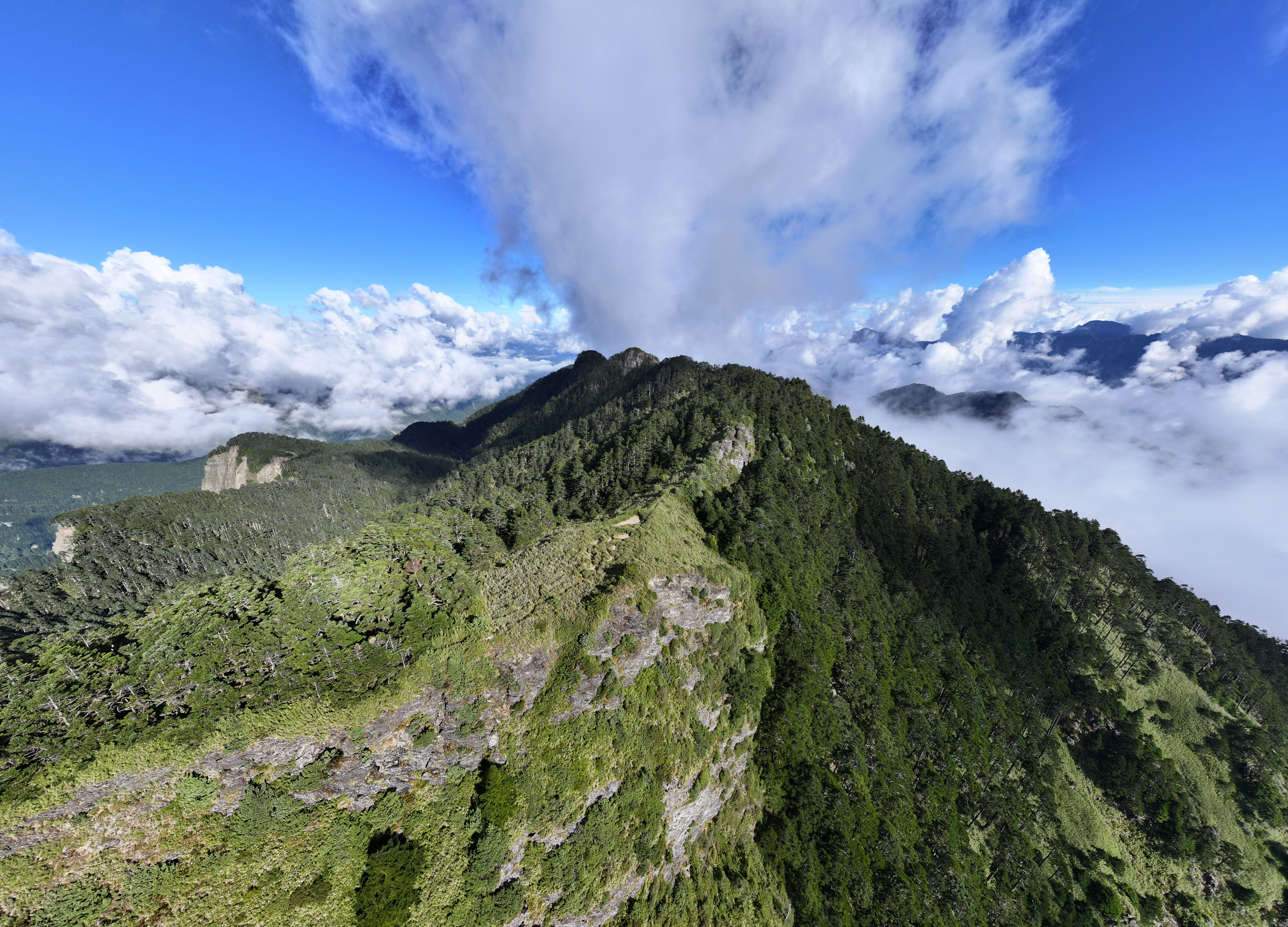7D6N SOUTH-NORTH TRAVERSE-THE FLUFFY FARM ADVENTURE~ALISHAN/KAOHSIUNG/CHIAYI/NANTOU/TAICHUNG/TAIPEI