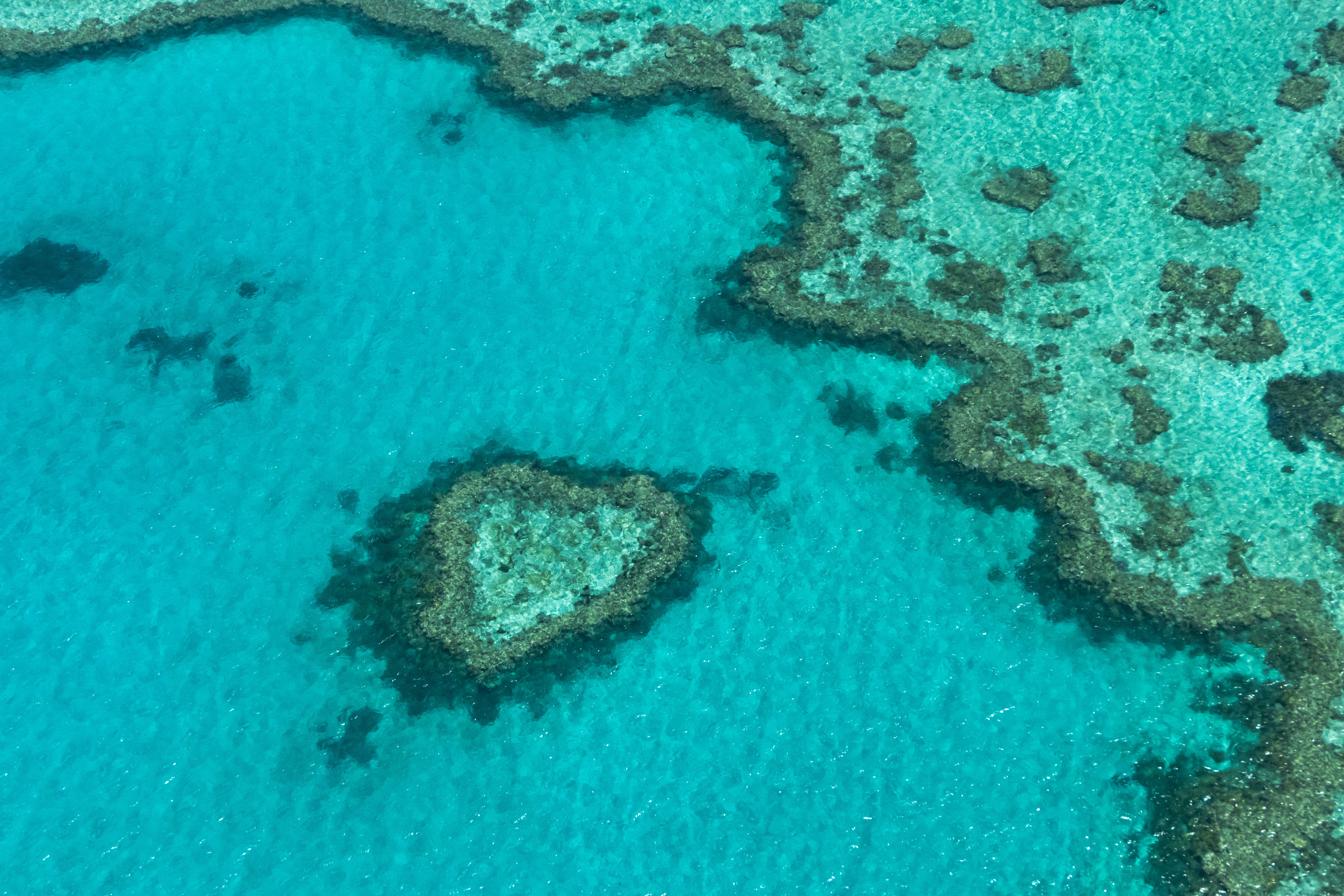 8-Day Queensland with Great Barrier Reef Roundtrip from Brisbane, Australia