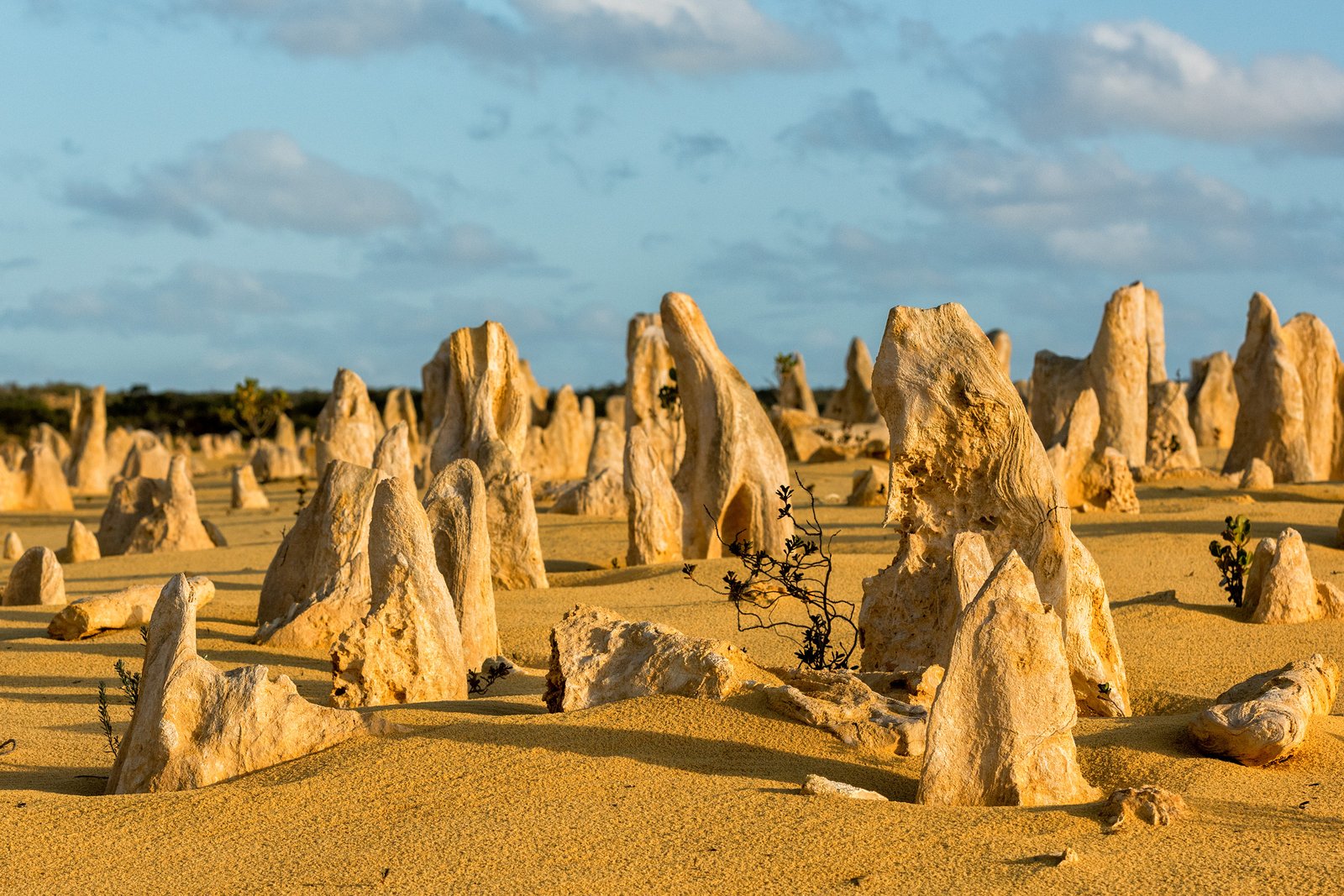 6D3N Perth + 1 Day Free & Easy (Swan Valley / Fremantle / Pinnacles)