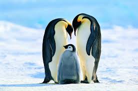 Antarctica