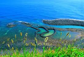 TAIWAN