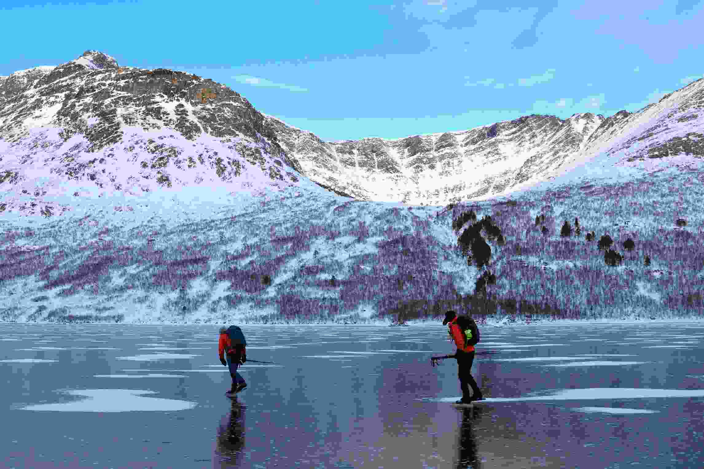 ARCTIC