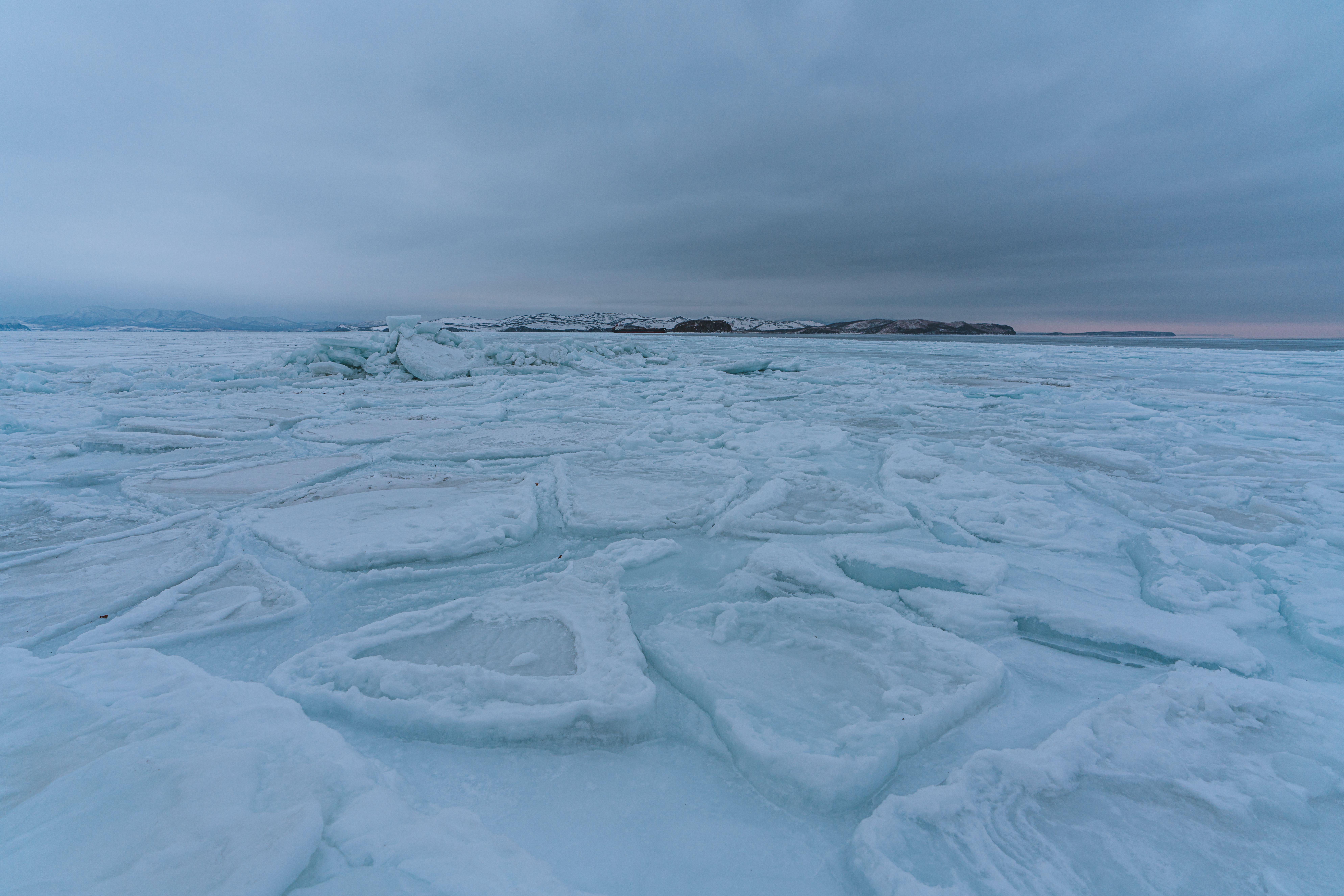 ARCTIC