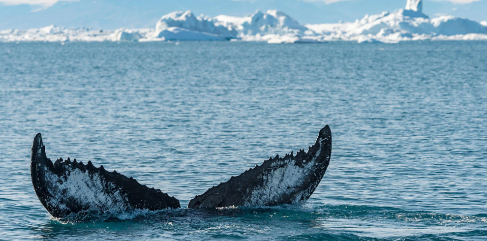 Greenland