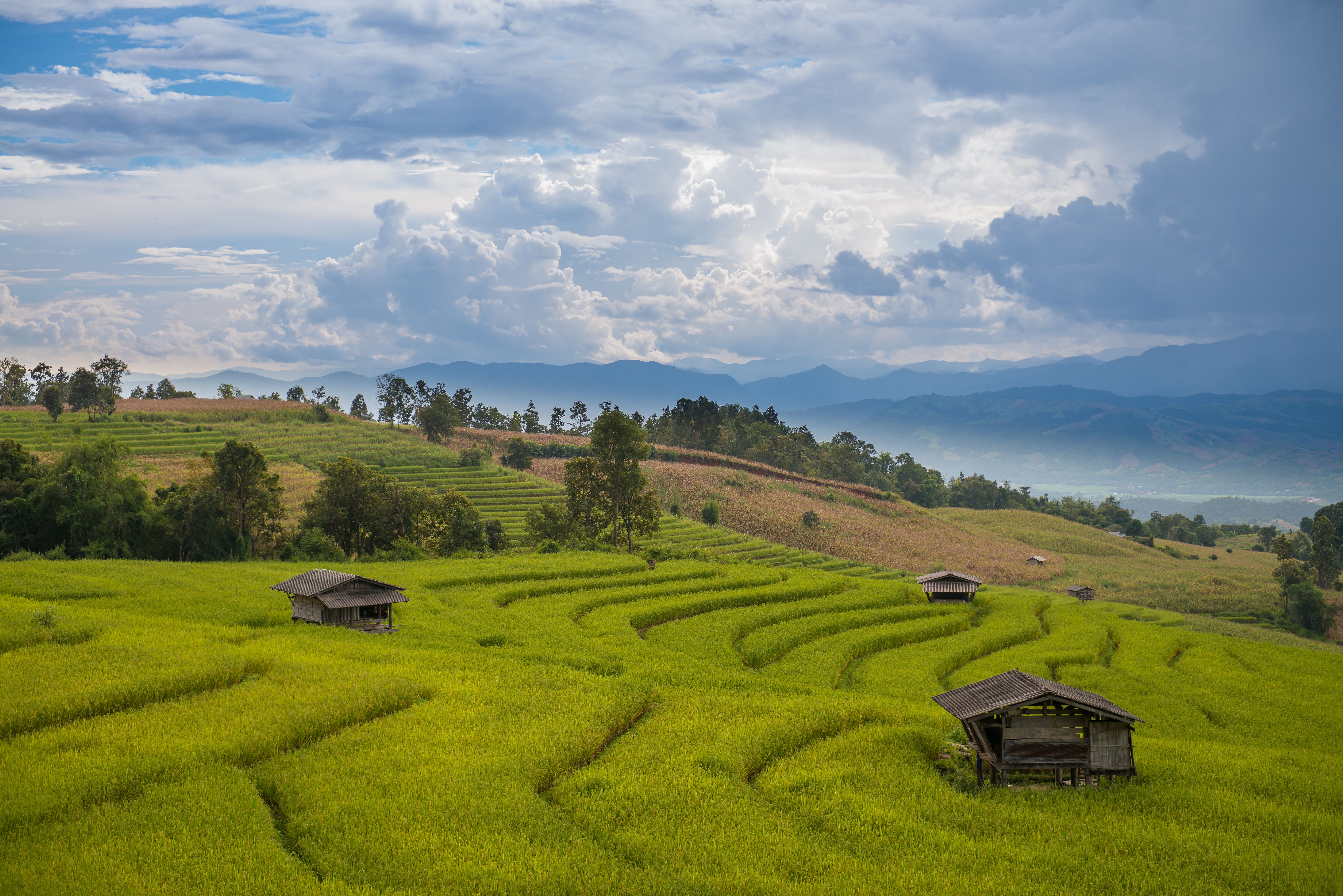 Chiangmai