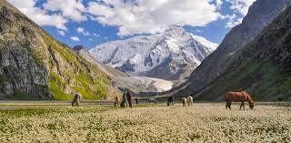 Central Asia