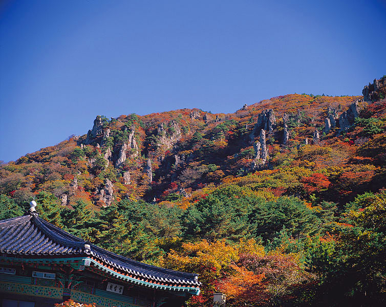 8D6N JEJU ISLAND / ALPACA WORLD / MT SORAK / EVERLAND / SEOUL