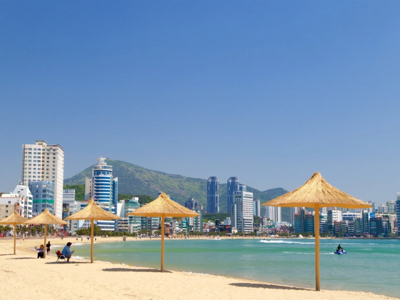 8D6N BUSAN/JEJU ISLAND (SAEBYEOL FRIENDS ZOO/ HAEUNDAE SKY CAPSULE/ SKYLINE LUGE)