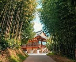 8D6N BUSAN/GWANGJU/JEONJU/SEOUL (HAEUNDAE BEACH TRAIN/JEONJU HANOK VILLAGE)