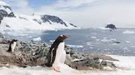 16D15N Iconic Antarctica – The Explorer’s Route cruise package