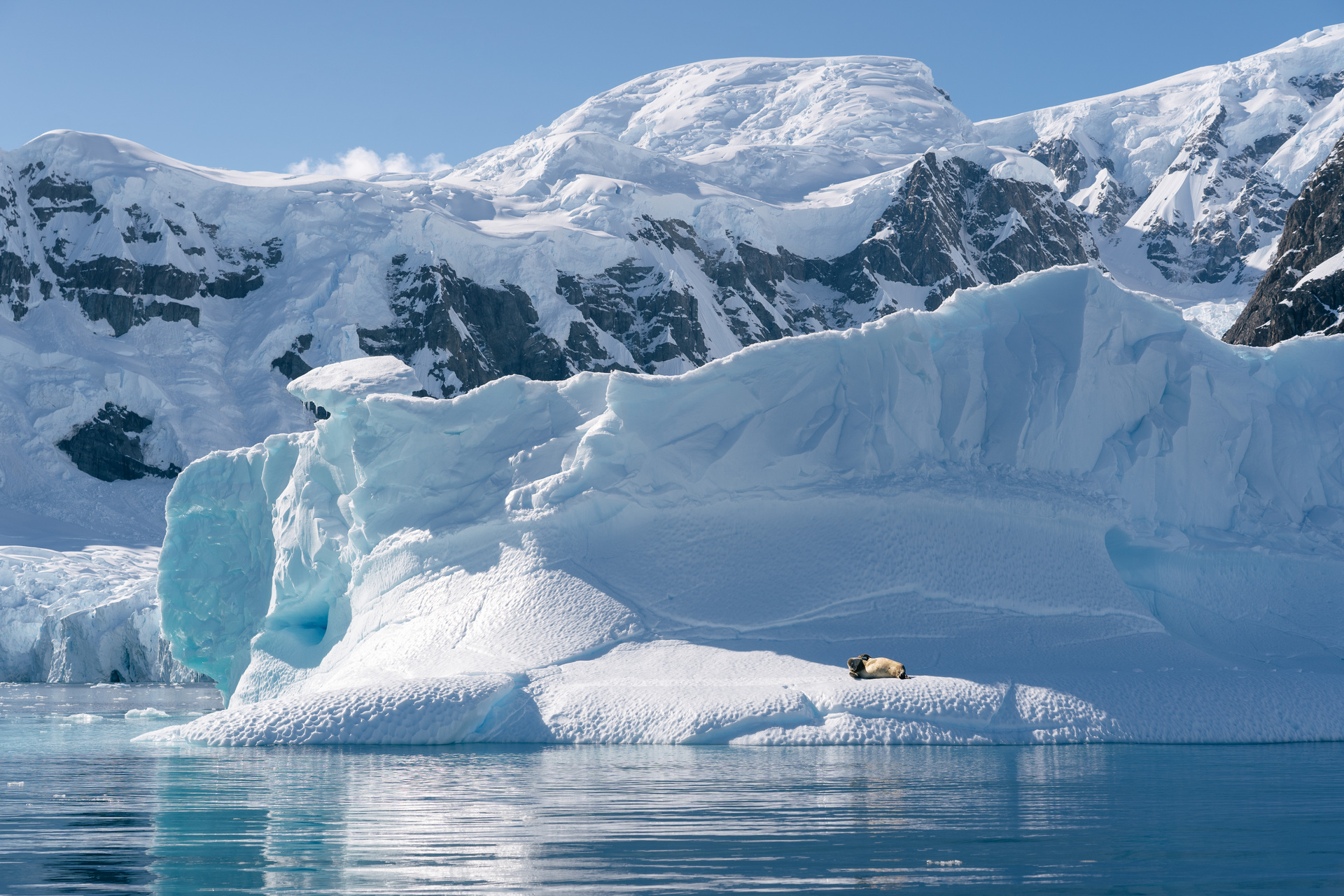 18D17N Antarctic Circle Expedition cruise package