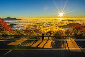 6D4N TAIPEI/ TAICHUNG/ NANTOU/ CHIAYI + ALISHAN FOREST RAILWAY AND SUNRISE Tour Package
