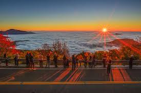 7D5N KAOHSIUNG/ TAINAN/ CHIAYI + STAY 01 NIGHT ALISHAN (ALISHAN FOREST RAILWAY AND SUNRISE) Tour Package