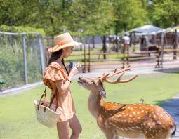 8D6N TAIWAN TOUR (TAIPEI/ TAICHUNG/ KAOHSIUNG/ CHIAYI/ NANTOU) Tour Package