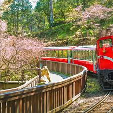 7D6N SOUTH-NORTH TRAVERSE-THE FLUFFY FARM ADVENTURE~ALISHAN/KAOHSIUNG/CHIAYI/NANTOU/TAICHUNG/TAIPEI Tour Package