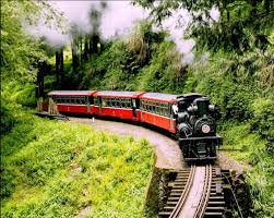6D5N KAOHSIUNG/ TAINAN/ CHIAYI + STAY 01 NIGHT ALISHAN (ALISHAN FOREST RAILWAY AND SUNRISE) Tour Package