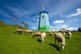 8D6N TAIPEI/ MIAOLI/ NANTOU/ TAICHUNG/ YILAN (QINGJING FARM+FREE & EASY) Tour Package