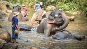 5D4N CHIANGMAI / CHIANGRAI TOUR