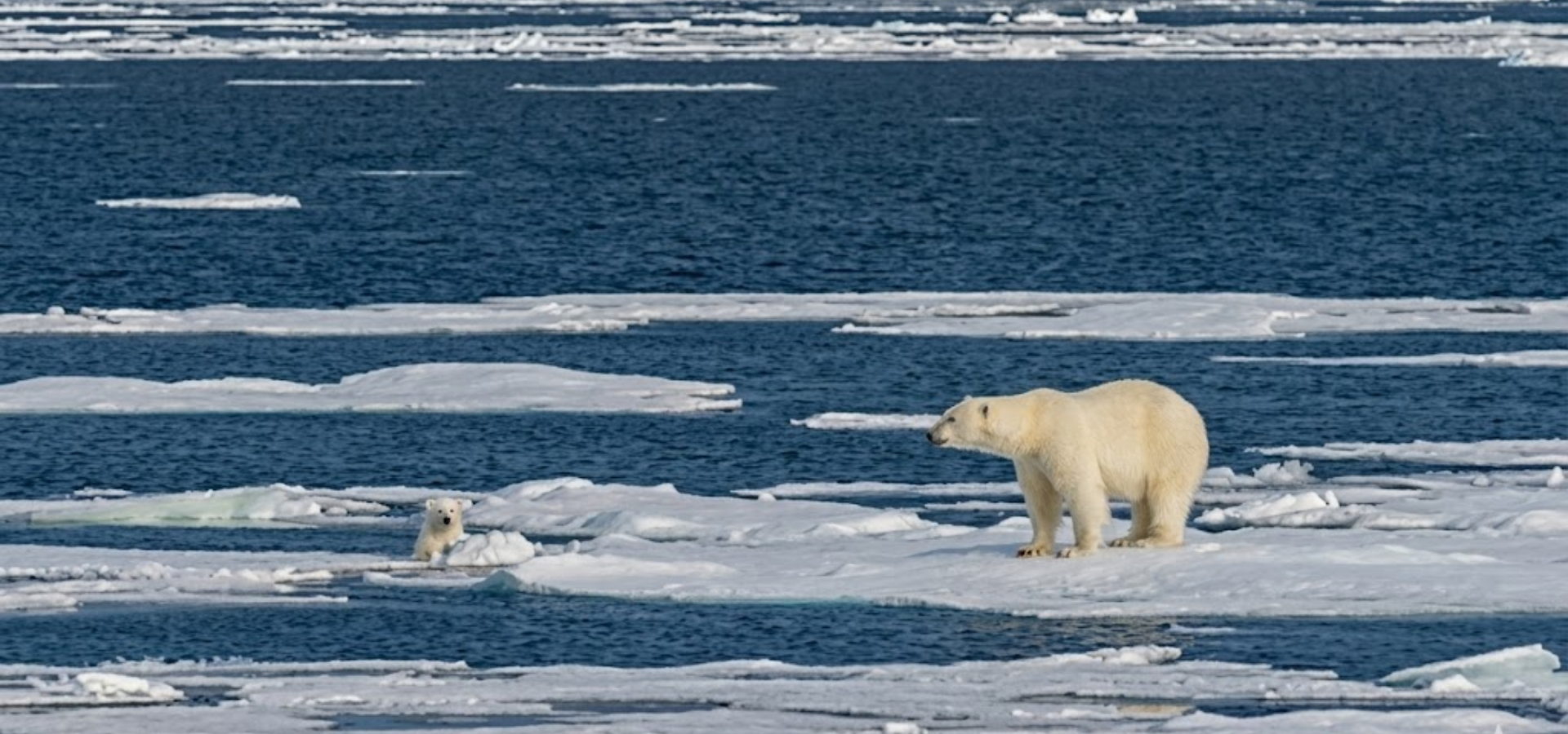 20D19N In the heart of the Northwest Passage