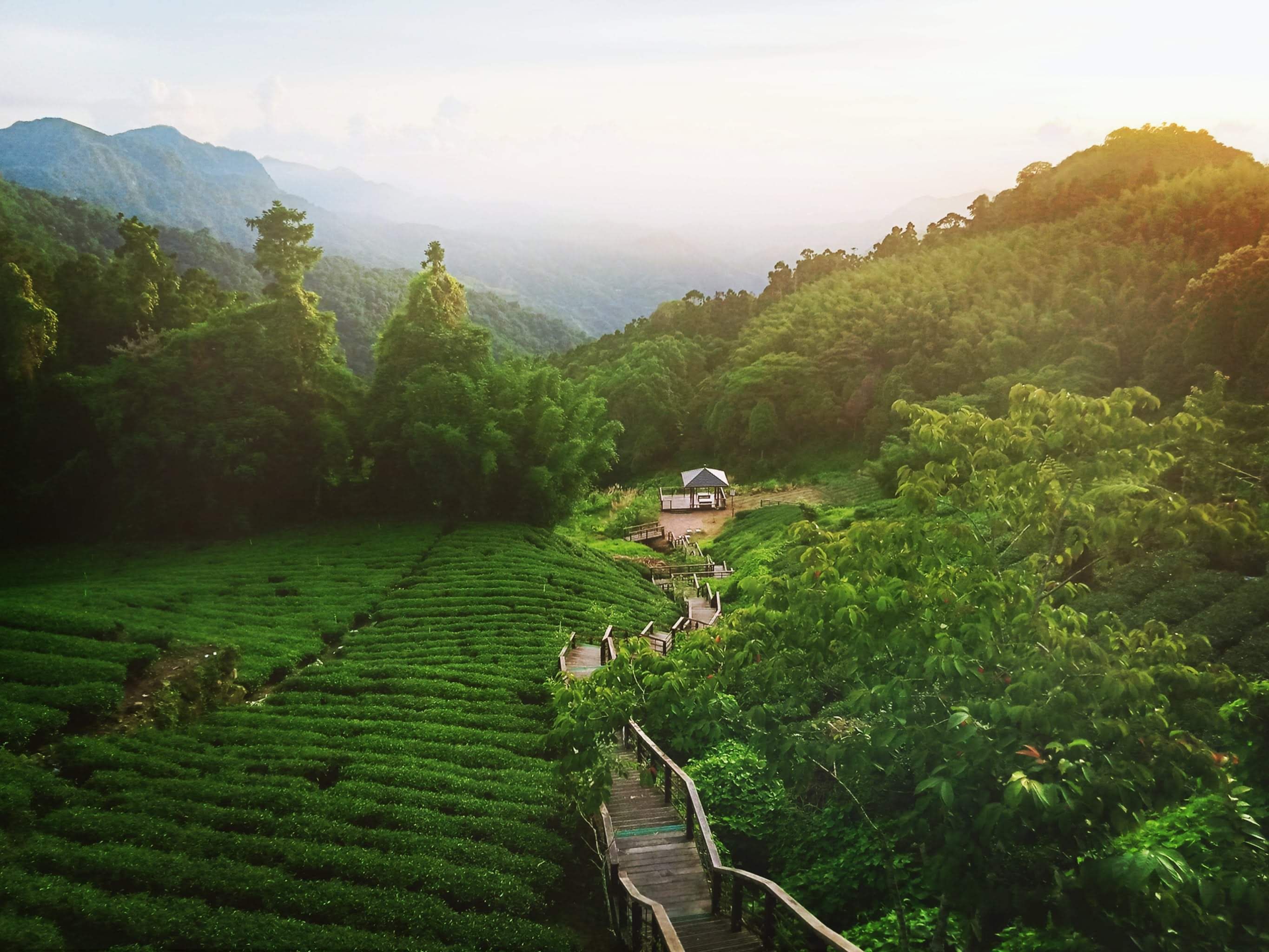 6D4N TAIPEI/ TAICHUNG/ NANTOU/ CHIAYI + ALISHAN FOREST RAILWAY AND SUNRISE