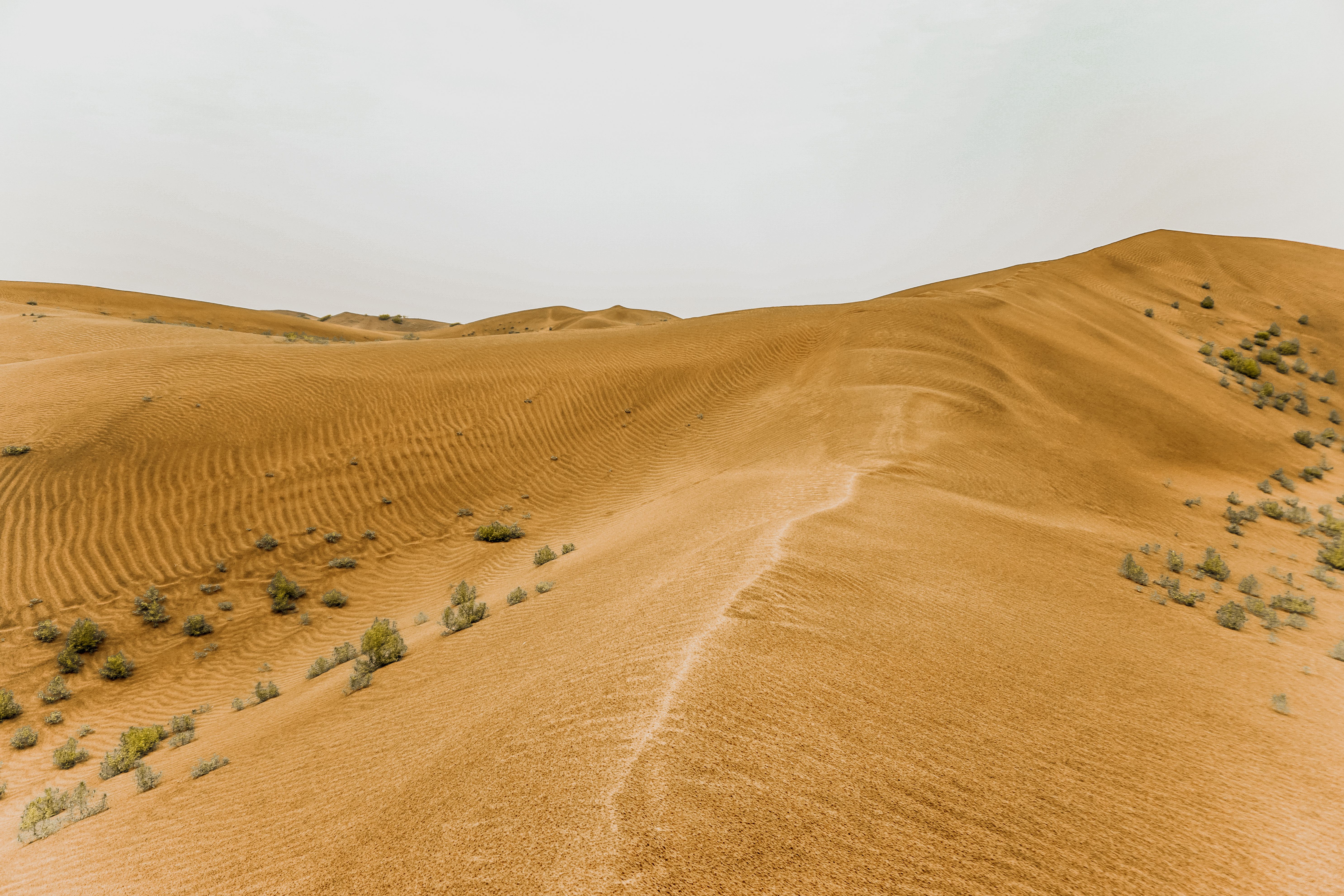 8D7N INNER MONGOLIA/WULANHADA VOLCANO/XILAMUREN GRASSLAND/WHISTLING DUNE BAY/ORDOS/HOHHOT/BEIJING