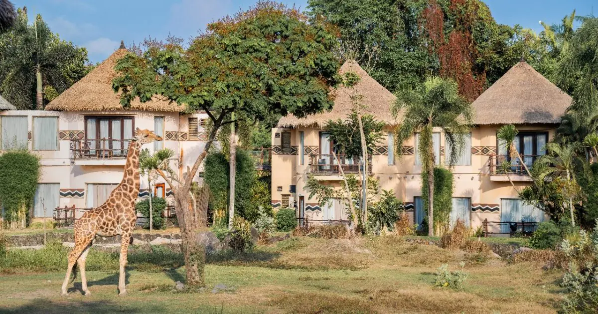 5D4N BALI+1 NIGHT STAY IN SAFARI PARK (BREAKFAST WITH LION)