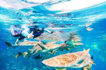 MALDIVES