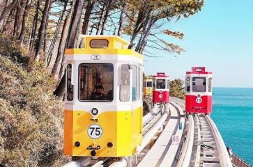 8D6N SEOUL/ JEJU ISLAND + UDO ISLAND + DISCOVER THE LEGACY OF JEJU HAENYEO