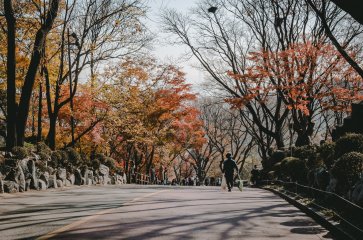 8D6N SEOUL/ NAMI ISLAND/ MOUNT SORAK + 01 DAY FREE & EASY