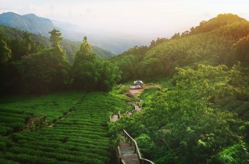 6D4N TAIPEI/ TAICHUNG/ NANTOU/ CHIAYI + ALISHAN FOREST RAILWAY AND SUNRISE