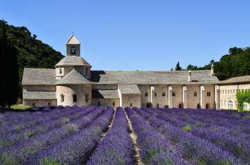 8D Burgundy & Provence