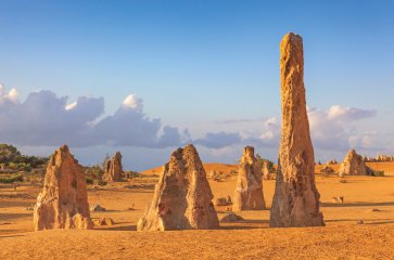 7D4N PERTH + PINNACLES + SAND BOARDING