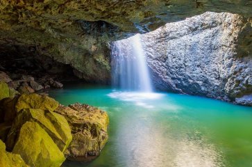 6D4N GOLD COAST + BRISBANE + SPRINGBROOK NATIONAL PARK
