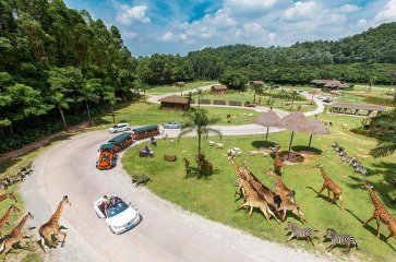 6D5N GUANGZHOU/PANYU/HONGKONG (CHIMELONG SAFARI PARK+CHIMELONG INTERNATIONAL CIRCUS)