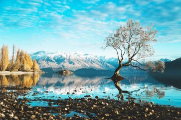 11D9N New Zealand North + South Island Tour